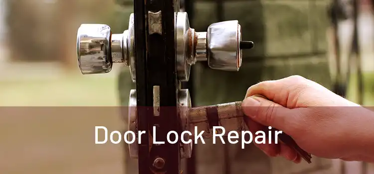 Door Lock Repair