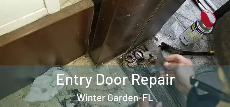 Entry Door Repair Winter Garden-FL