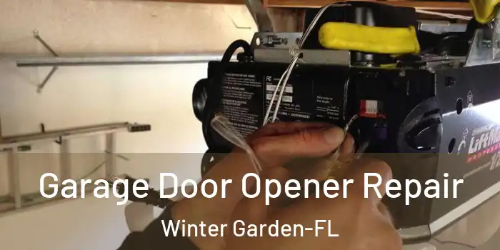 Garage Door Opener Repair Winter Garden-FL