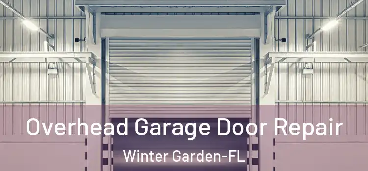  Overhead Garage Door Repair Winter Garden-FL